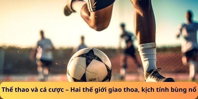 Thể thao và cá cược – Hai thế giới giao thoa, kịch tính bùng nổ